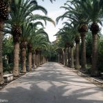 Giardini Iblei Giardini Iblei