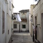Noto