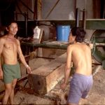 Vietnam 1993 Vietnam 93 workers