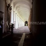 Charterhous of Padula