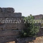 Paestum ruins