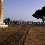 Paestum ruins