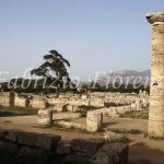 Paestum ruins