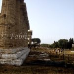 Paestum Era temple