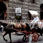Roma - Turisti in carrozza al centro di Roma / Tourists on a coach in downtown Rome
Foto Fabrizio Fiorenzano
