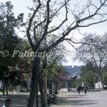 Napoli public gardens