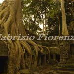 Angkor Wat Cambodia Angkor Wat