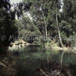 Israel Nazareth Jordan river
Photo Fabrizio Fiorenzano Israel Nazareth