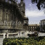 Siviglia: Quartiere Santa Cruz nel centro di Siviglia. La Cattedrale "La Giralda" / Santa Cruz district in downtowm Seville. "The Giralda" Cathedral
Foto Fabrizio Fiorenzano