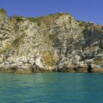 Capo Vaticano