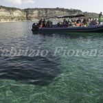 Capo Vaticano