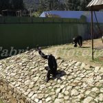 Zoo Safari Fasano