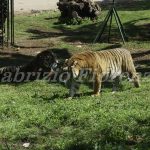 Zoo Safari Fasano