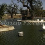 Zoo Safari Fasano Fasano zoo Safari