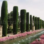 Cordoba Fortress Christian Kings by Fabrizio Fiorenzano