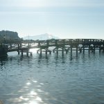 Italy, Fusaro, Bourbon park (11/01/2024) - Casina Vanvitelliana on the Fusaro lake
