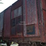 Italy, Fusaro, Bourbon park (11/01/2024) - railway carriage used for the deportation of Italian Jews to Nazi extermination camps
