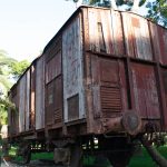 Italy, Fusaro, Bourbon park (11/01/2024) - railway carriage used for the deportation of Italian Jews to Nazi extermination camps