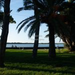 Italy, Fusaro, Bourbon park (11/01/2024)