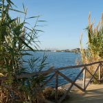 Italy, Fusaro, Bourbon park (11/01/2024) - Fusaro lake