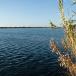 Italy, Fusaro, Bourbon park (11/01/2024) - Fusaro lake