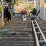 The historic Petraio stairway in the heart of Naples