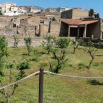 Archaeological excavations of Herculaneum