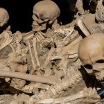 Skeletons Archaeological excavations of Herculaneum