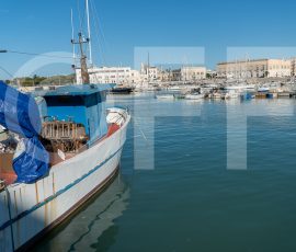 Italy, Trani - the porto of Trani